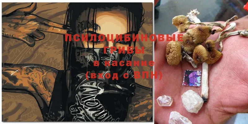 Галлюциногенные грибы MAGIC MUSHROOMS  Райчихинск 